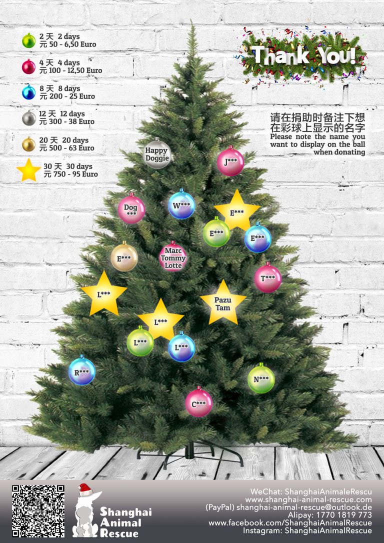 SAR Christmas tree 2020 01