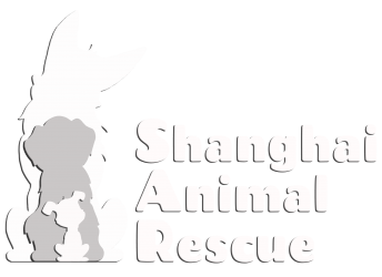 Shanghai Animal Rescue