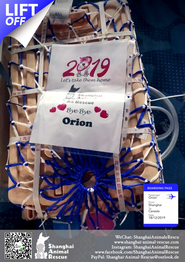 w7-SAR-446-Orion