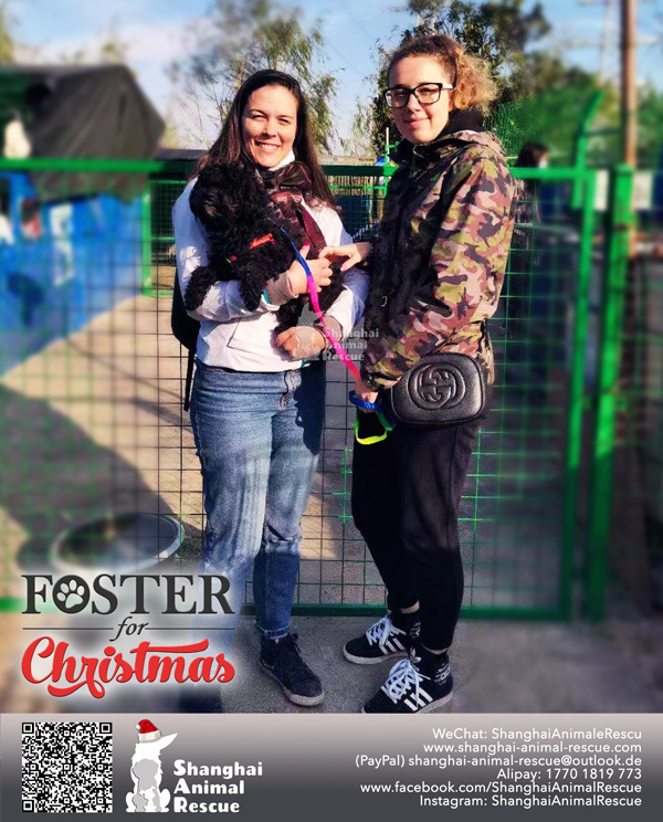 Foster-Nov-01