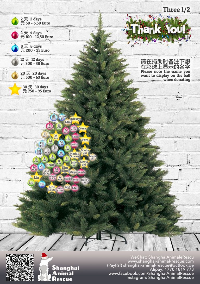 SAR Christmas tree 2020 03